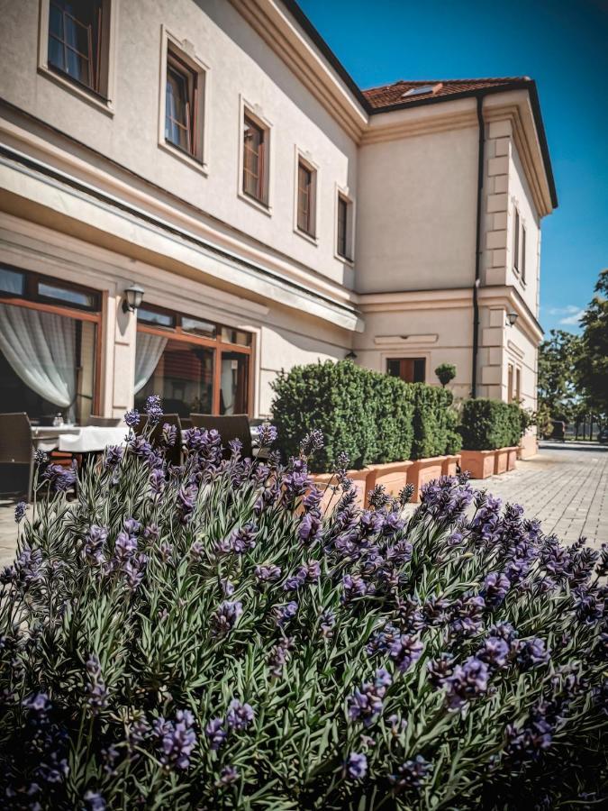 Restaurant Pansion Wien Cierny Brod Esterno foto
